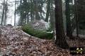 Findling 4 bei Haselberg nahe Wierzen in der Märkischen Schweiz, Brandenburg, (D) (4) 24. Januar 2016.JPG